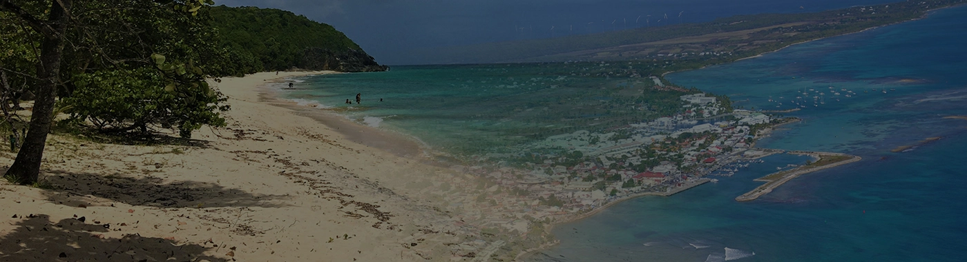 Navette Marie-Galante Iguana beach